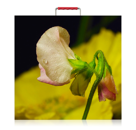 戶(hù)內(nèi)R系列租賃屏